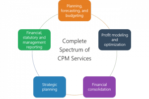 CPM Software - The Midmarket Company Savior - Kepion